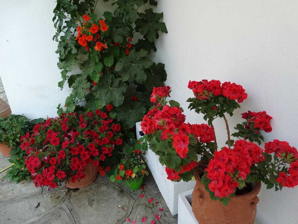 Vrasná Christakos Apartments מראה חיצוני תמונה